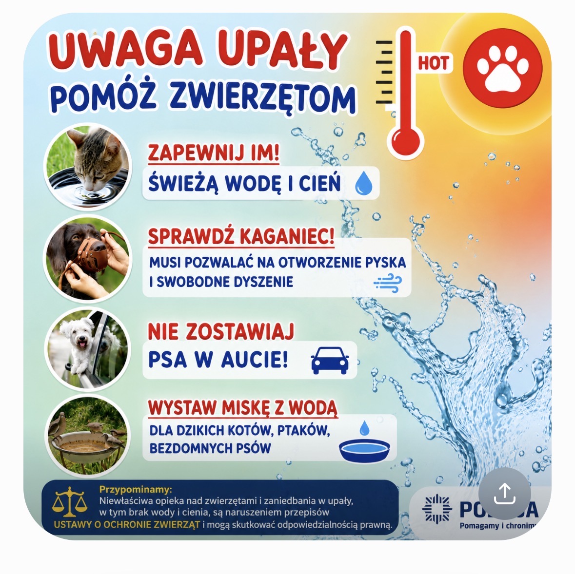 Upały są groźne także dla zwierząt, Policja apeluje o odpowiedzialność  właścicieli - Komenda Powiatowa Policji w Strzelinie - Portal polskiej  Policji