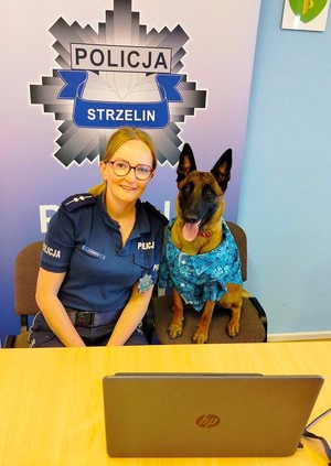 Za nami kolejne spotkanie z cyklu SENIOR ONLINE – wszystkim seniorom dziękujemy za udział w spotkaniu oraz okazane zainteresowanie