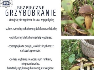 Bezpieczne grzybobranie