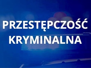 Zwalczanie przestępczości kryminalnej