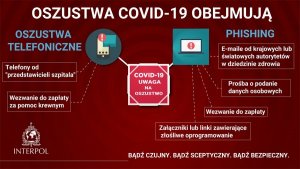 Ikonografia zawiera kilka podstawowych wskazówek jak nie paść ofiarą oszustwa popełnianego przy pomocy sieci internet.