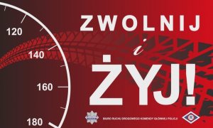 Zwolnij i żyj